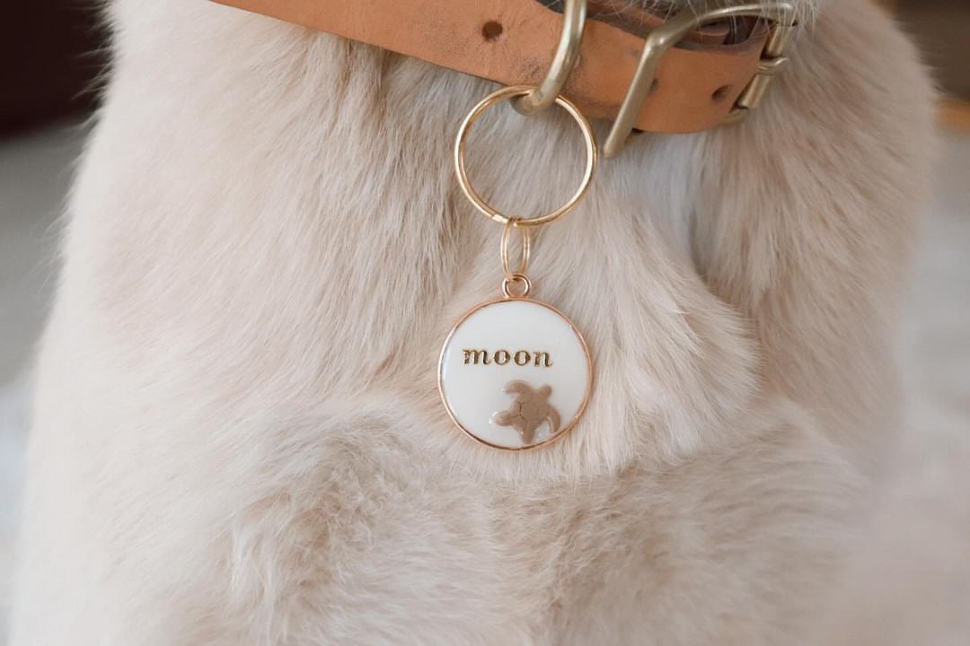 Neutral dog id tag